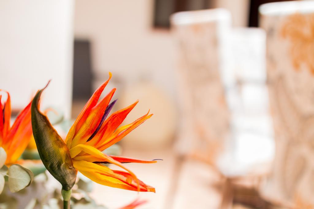 La Torre Apartment กอร์โดบา ภายนอก รูปภาพ